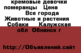 кремовые девочки померанцы › Цена ­ 30 000 - Все города Животные и растения » Собаки   . Калужская обл.,Обнинск г.
